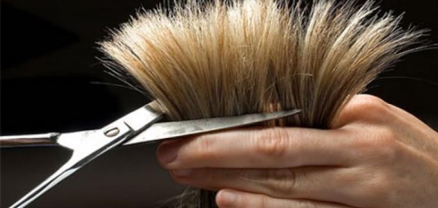 فوائد قص الشعر الخفيف فوائد قص الشعر الخفيف