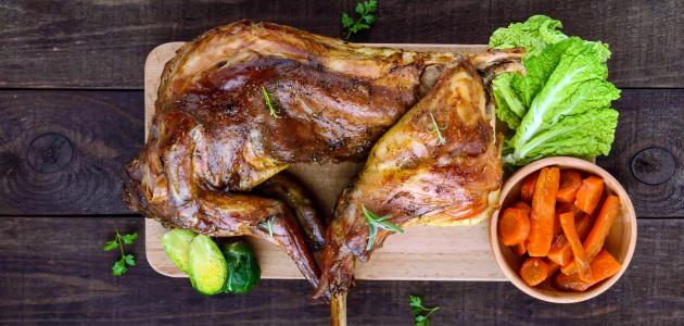 فوائد لحم الأرنب