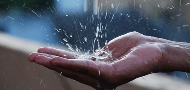 فوائد ماء المطر فوائد ماء المطر