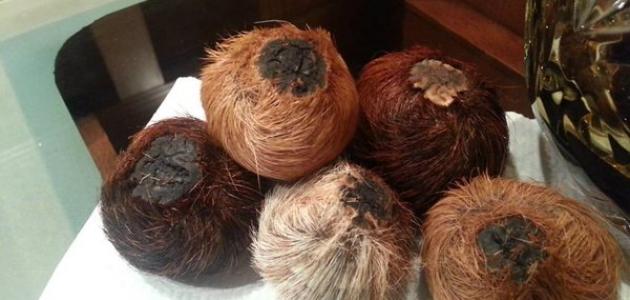 فوائد مسك الغزال