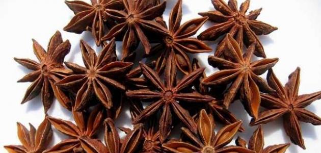 فوائد نجمة الأرض فوائد نجمة الأرض