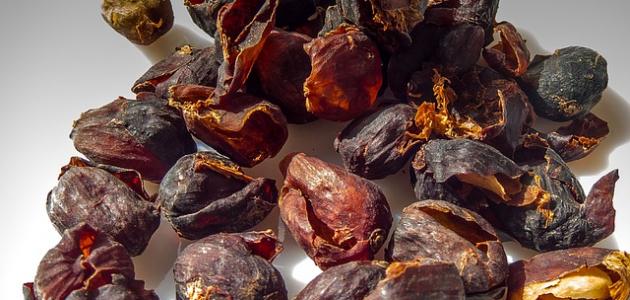 فوائد ومضار قشر القهوة