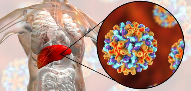 فيروس الكبد ب