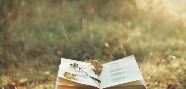 قراءة في كتاب بحر الدموع قراءة في كتاب بحر الدموع