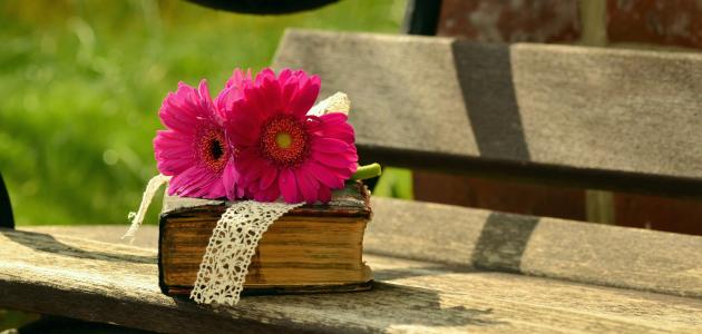 قصيدة حكمة قوية قصيدة حكمة قوية