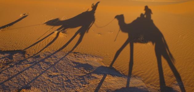 قصيدة عن الهجرة النبوية قصيدة عن الهجرة النبوية