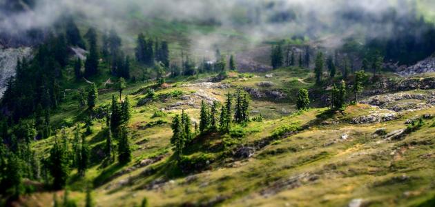 قوانين الحفاظ على البيئة قوانين الحفاظ على البيئة