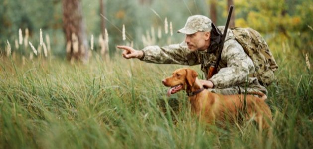 كلاب الصيد وأنواعها