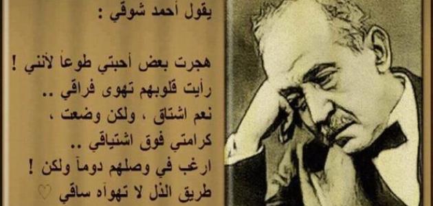 كلام جميل عن الدنيا