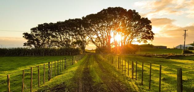 كلام جميل عن بلادي كلام جميل عن بلادي