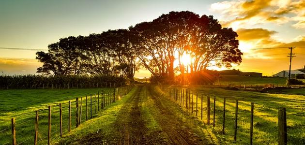 كلام جميل عن غروب الشمس كلام جميل عن غروب الشمس