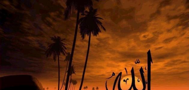 كلام عن الحب في الله كلام عن الحب في الله