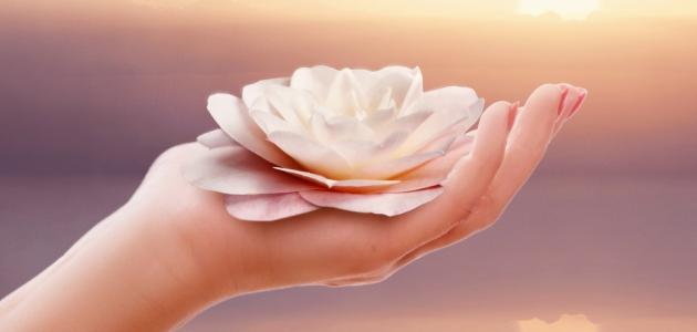 كلام عن الطيبة كلام عن الطيبة