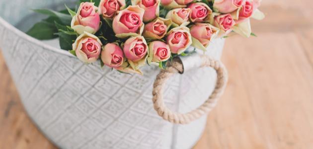 كلام في صباح الخير