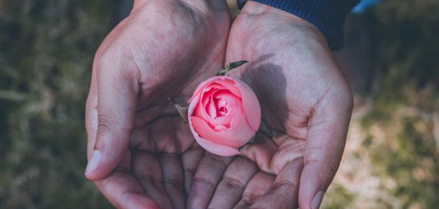 كلمات تقال في الصباح للحبيب كلمات تقال في الصباح للحبيب