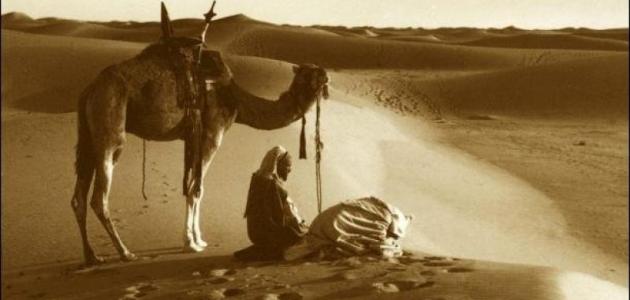 كلمات جميلة ومعبرة عن الحياة