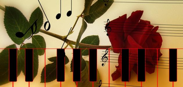 كلمات حب جميلة رومانسية كلمات حب جميلة رومانسية