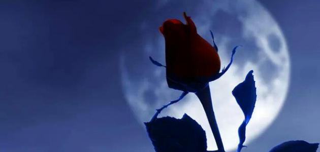 كلمات حب وغرام قصيرة كلمات حب وغرام قصيرة