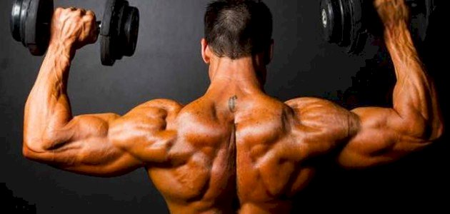 كمال الأجسام