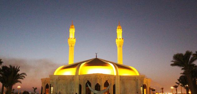 كم تبلغ مساحة جدة