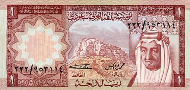 كم دوله عربيه عملتها الريال