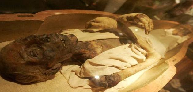 كم عاش فرعون كم عاش فرعون