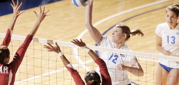 كم عدد اللاعبين في كرة الطائرة كم عدد اللاعبين في كرة الطائرة