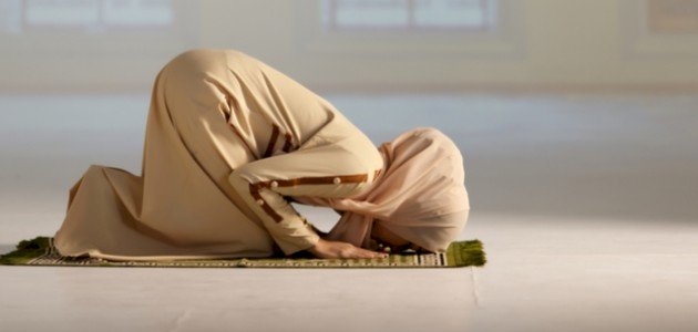 كم عدد النوافل بعد كل صلاة