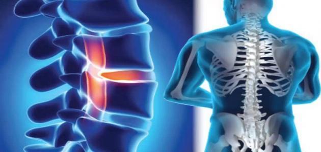 كم عدد فقرات العمود الفقري كم عدد فقرات العمود الفقري