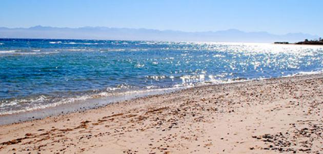 كم يبلغ طول البحر الأحمر كم يبلغ طول البحر الأحمر