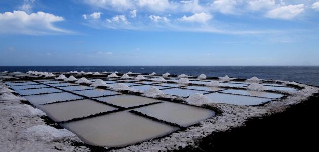كيفية استخراج الملح من البحر كيفية استخراج الملح من البحر