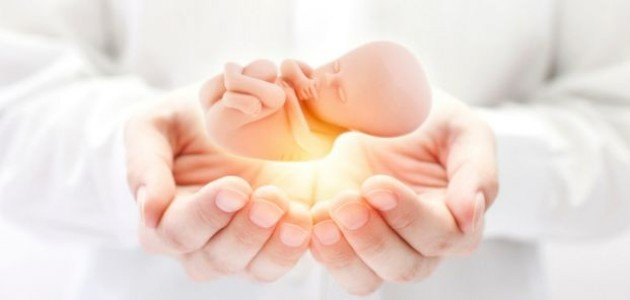 كيفية الحفاظ على الجنين من الإجهاض كيفية الحفاظ على الجنين من الإجهاض