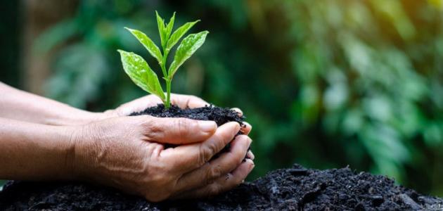 كيفية المحافظة على الغلاف الجوي كيفية المحافظة على الغلاف الجوي