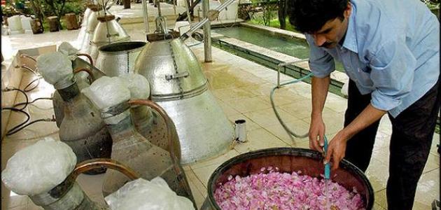 كيفية تقطير الزهور كيفية تقطير الزهور