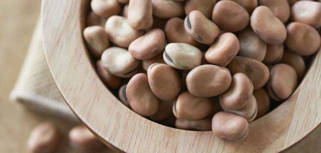 كيفية سلق الفول كيفية سلق الفول