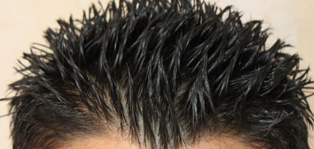 كيفية صنع جل الشعر كيفية صنع جل الشعر