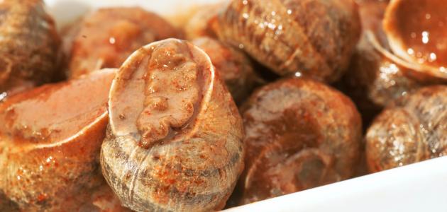 كيفية طبخ الحلزون