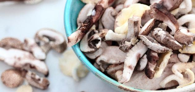 كيفية طبخ الفطر كيفية طبخ الفطر