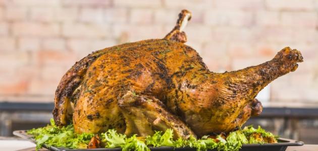 كيفية طهي الديك الرومي كيفية طهي الديك الرومي