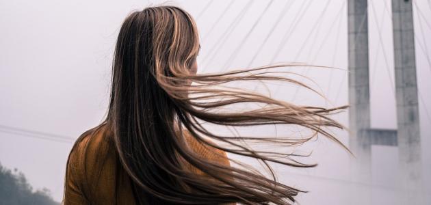 كيفية وضع الميش على الشعر كيفية وضع الميش على الشعر