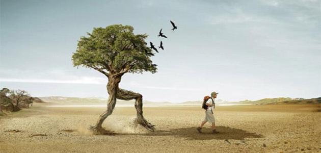 كيف أتخذ قراراً مصيرياً كيف أتخذ قراراً مصيرياً