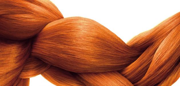 كيف أتخلص من دهون الشعر كيف أتخلص من دهون الشعر