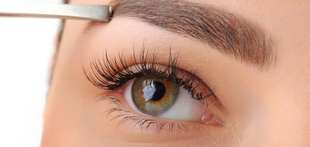 كيف أجعل حواجبي كثيفة كيف أجعل حواجبي كثيفة