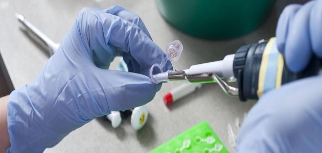 كيف أخفض هرمون الإستروجين كيف أخفض هرمون الإستروجين