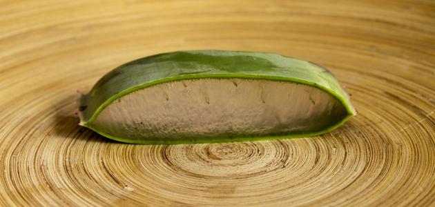 كيف أزيل تاتو الحواجب الدائم في المنزل كيف أزيل تاتو الحواجب الدائم في المنزل