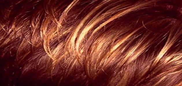 كيف أعالج شعري بعد سحب اللون كيف أعالج شعري بعد سحب اللون