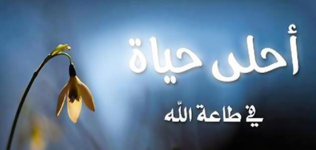 كيف أنظم حياتي في طاعة الله كيف أنظم حياتي في طاعة الله