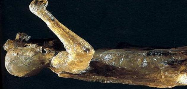 كيف أهلك الله قوم مدين كيف أهلك الله قوم مدين