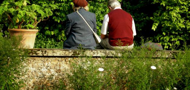 كيف افهم الحياة