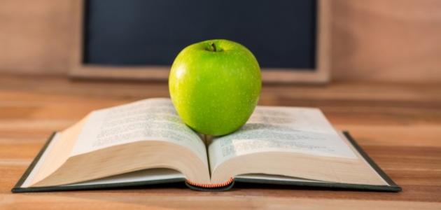 كيف اكتشف نيوتن الجاذبية الارضية كيف اكتشف نيوتن الجاذبية الارضية